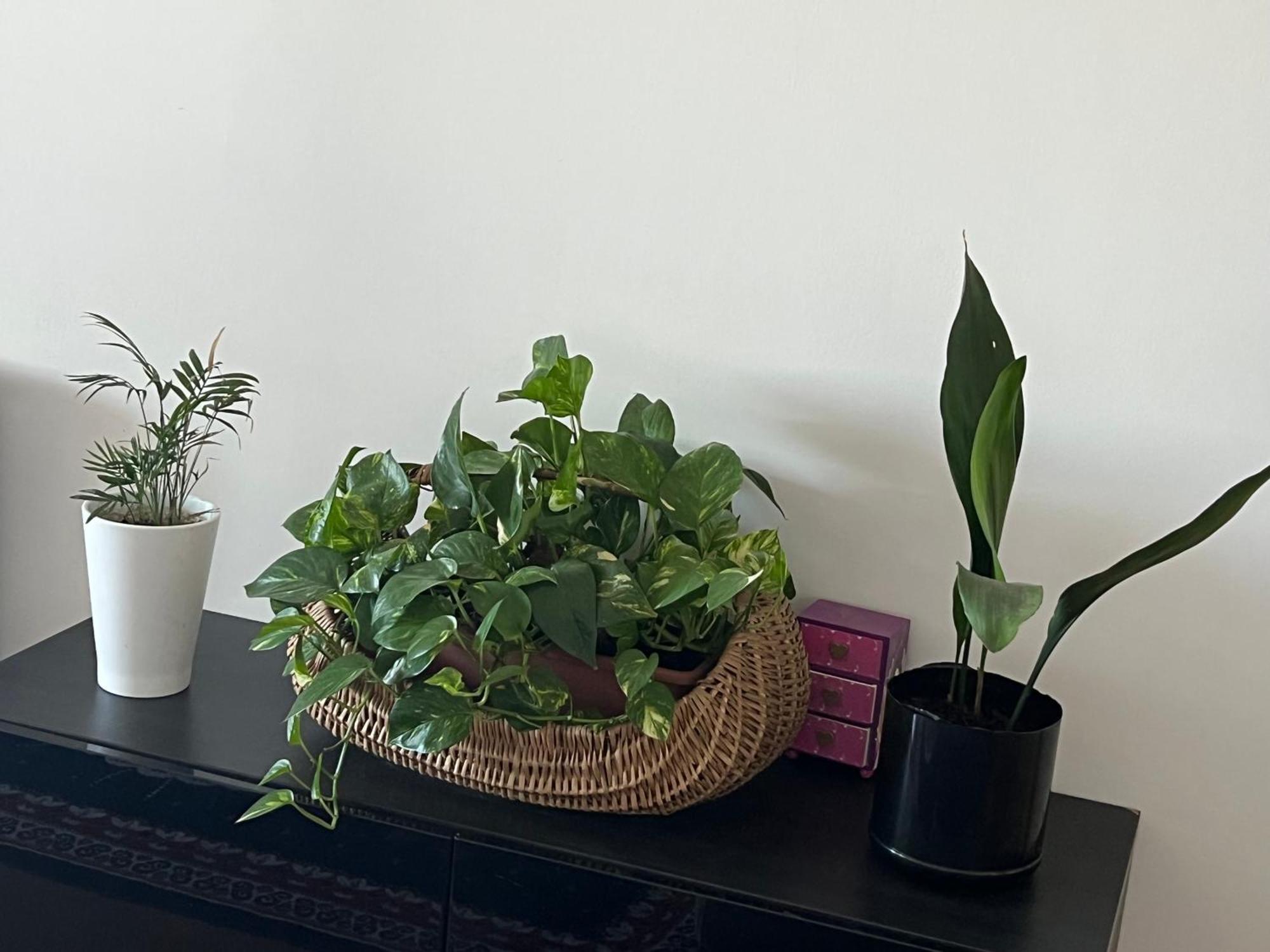 Friends And Family Apartman Brescia megye Kültér fotó